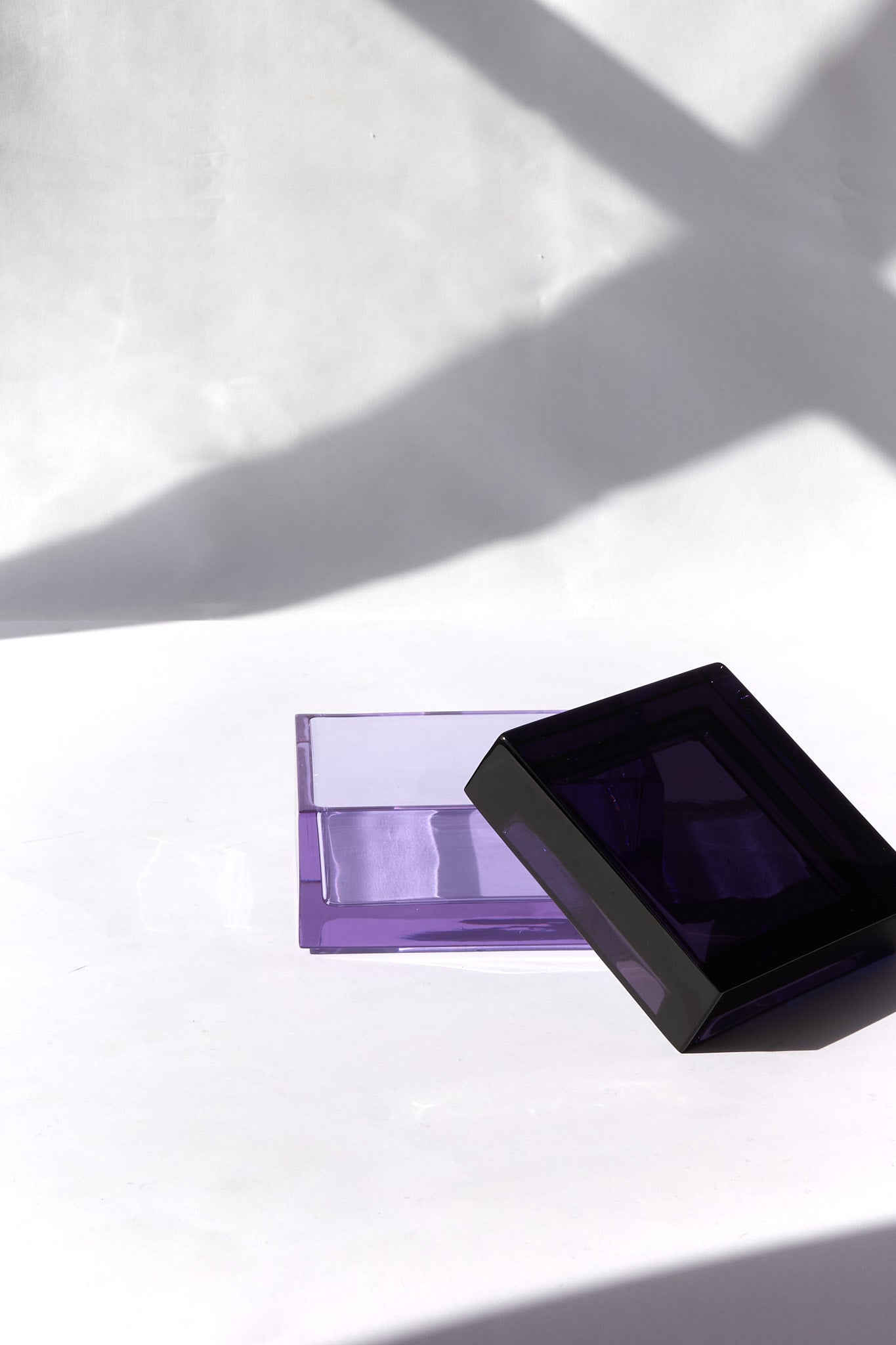 PALMINA lilac+violet