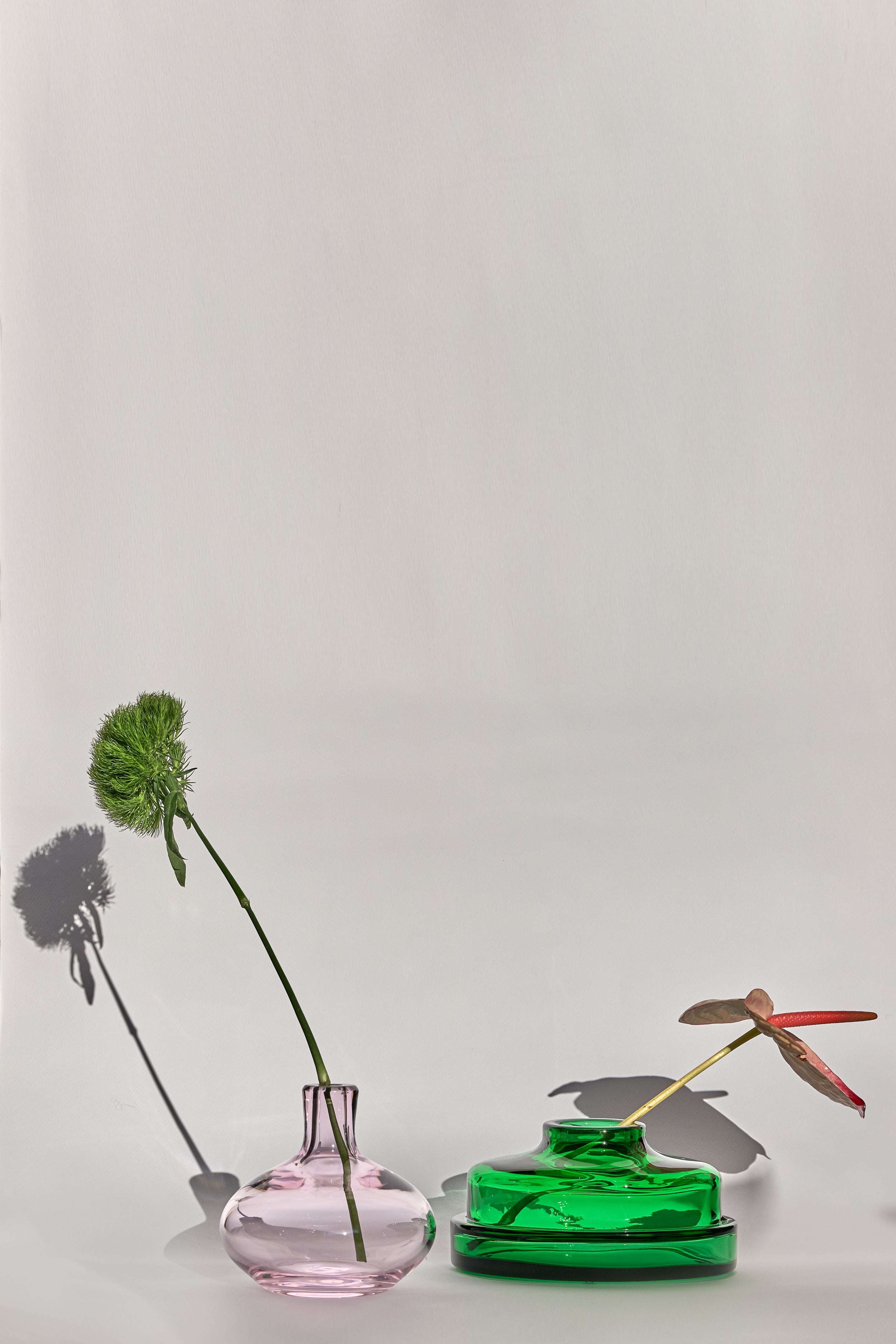 ASINARA green+pink