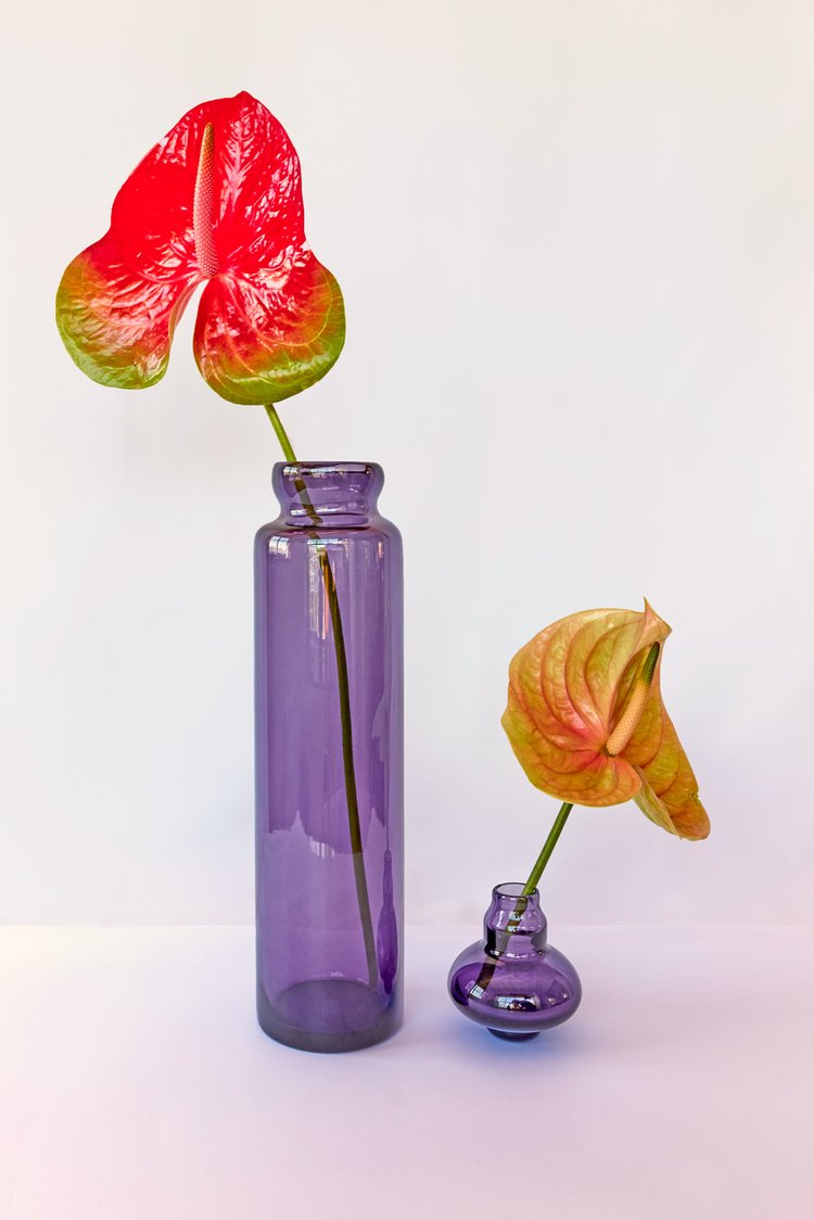 FILICUDI viola