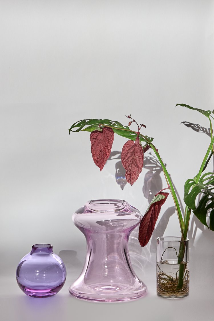 ARBOREA pink+light violet