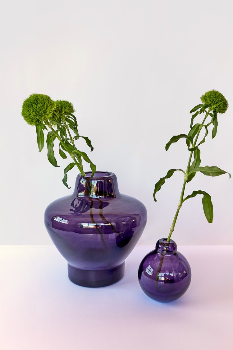 Viola di CAPRI