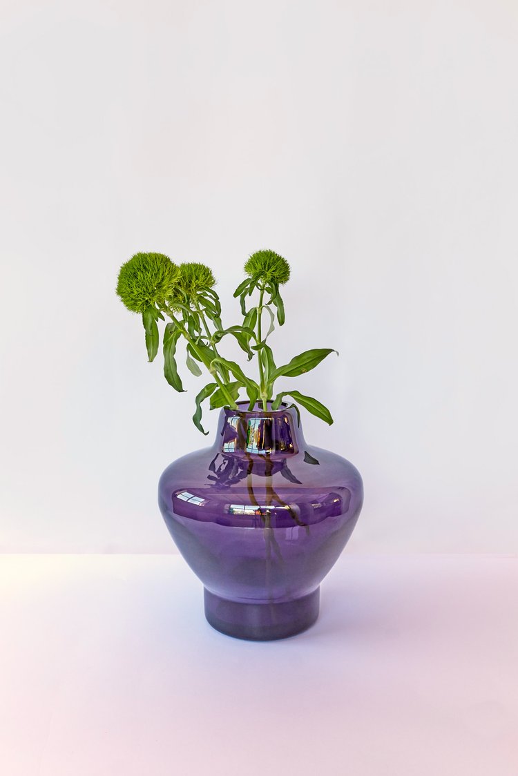 Viola di CAPRI
