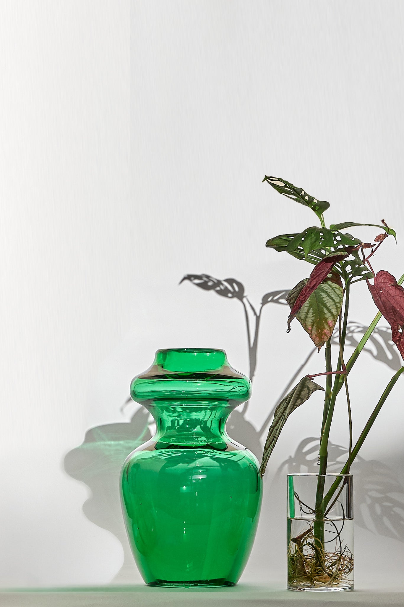 DAILA green