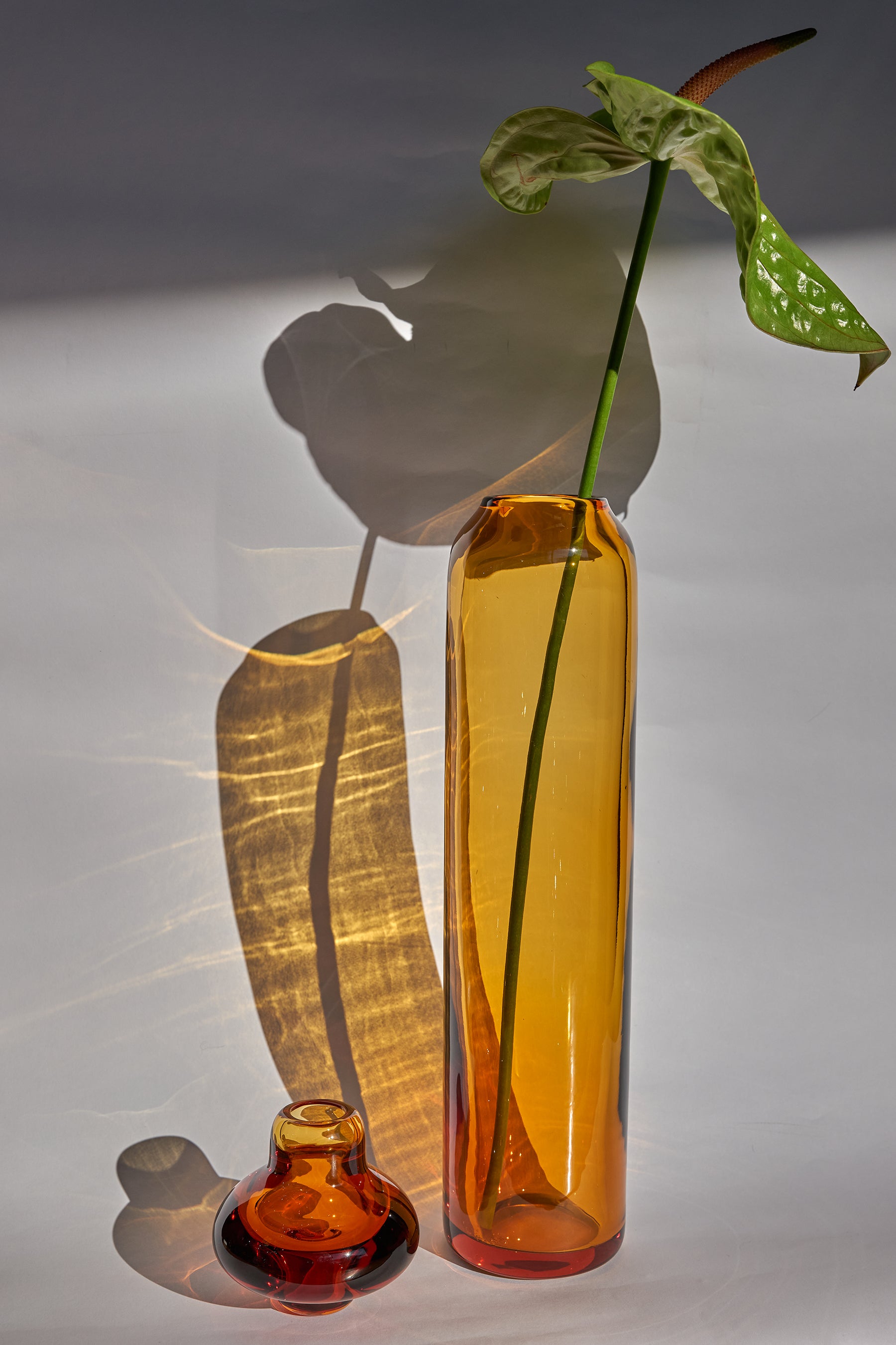 AMALFI amber