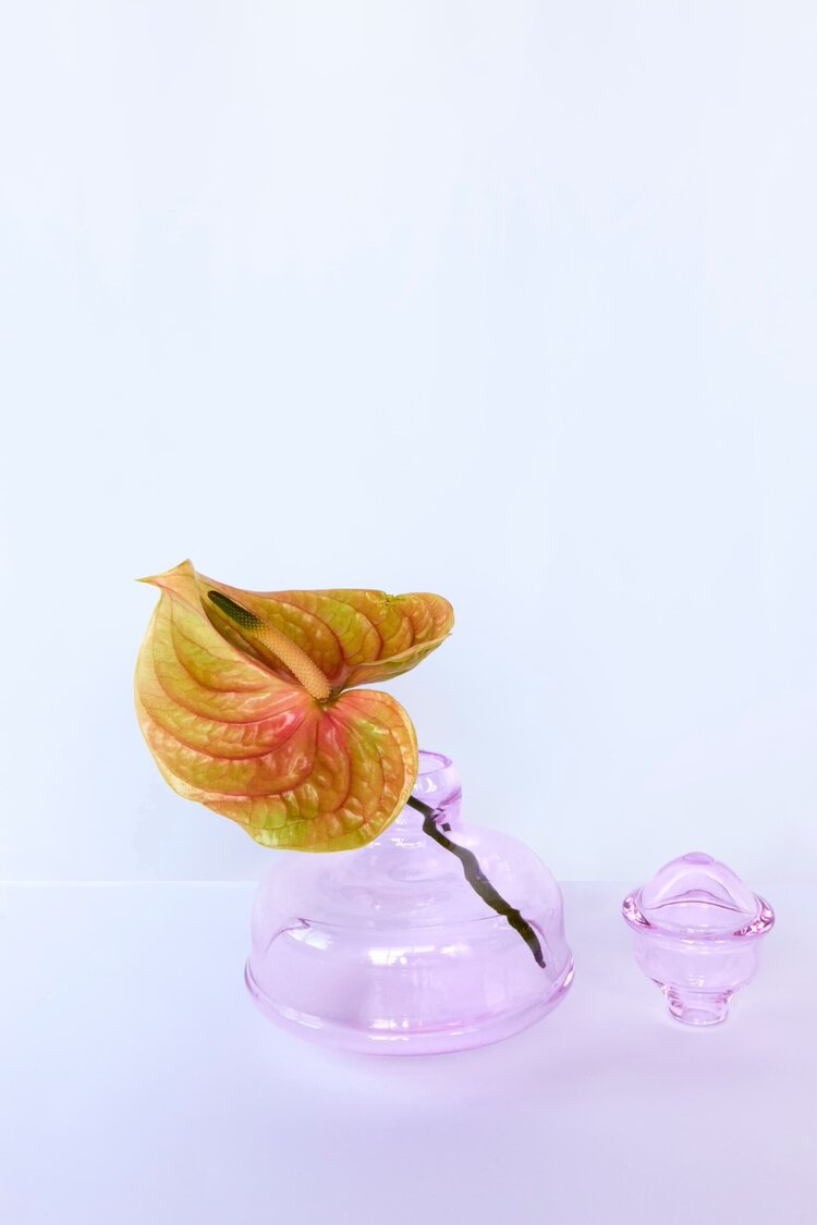 TEULADA rosa