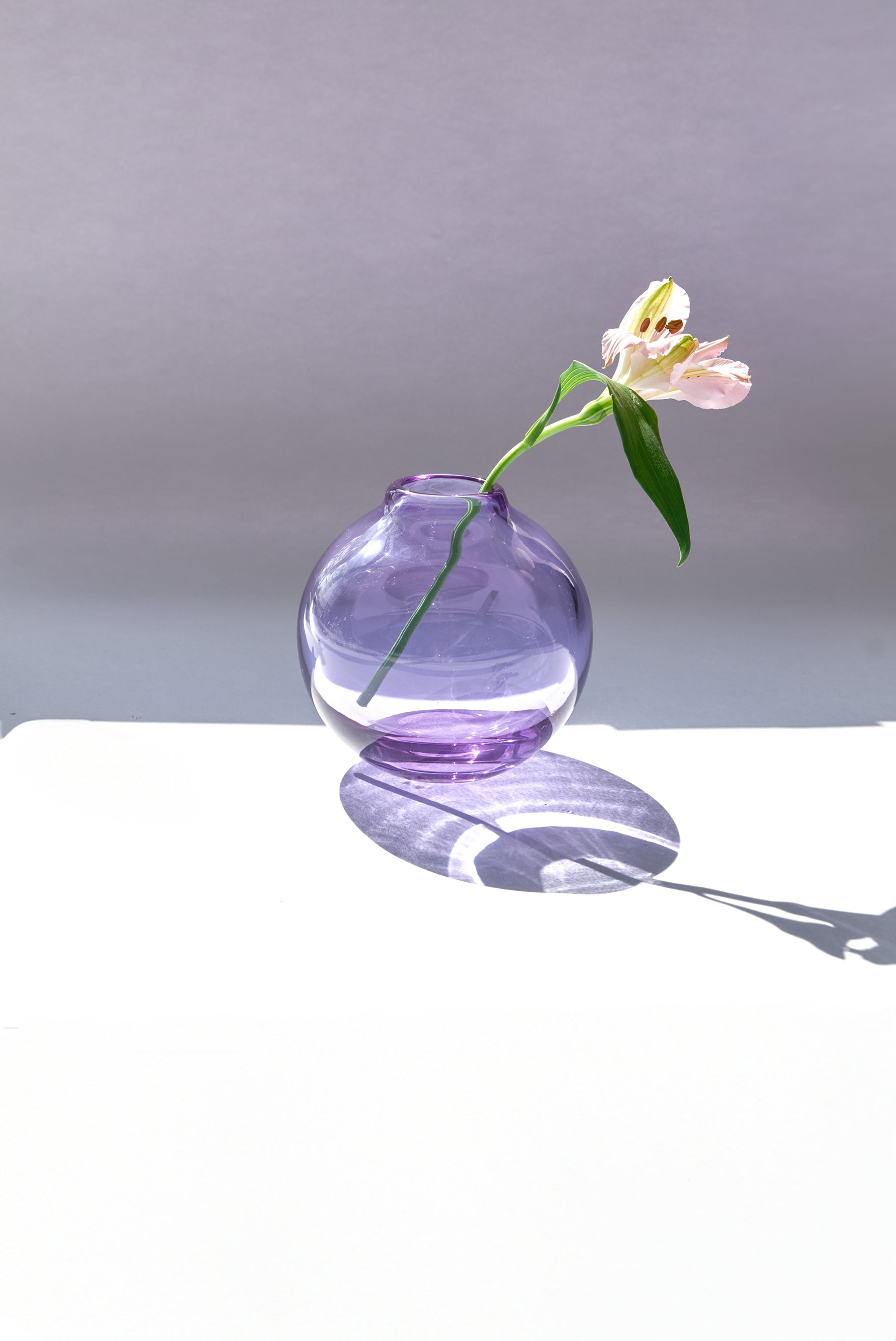 SFERA MEDIA PIATTA light violet