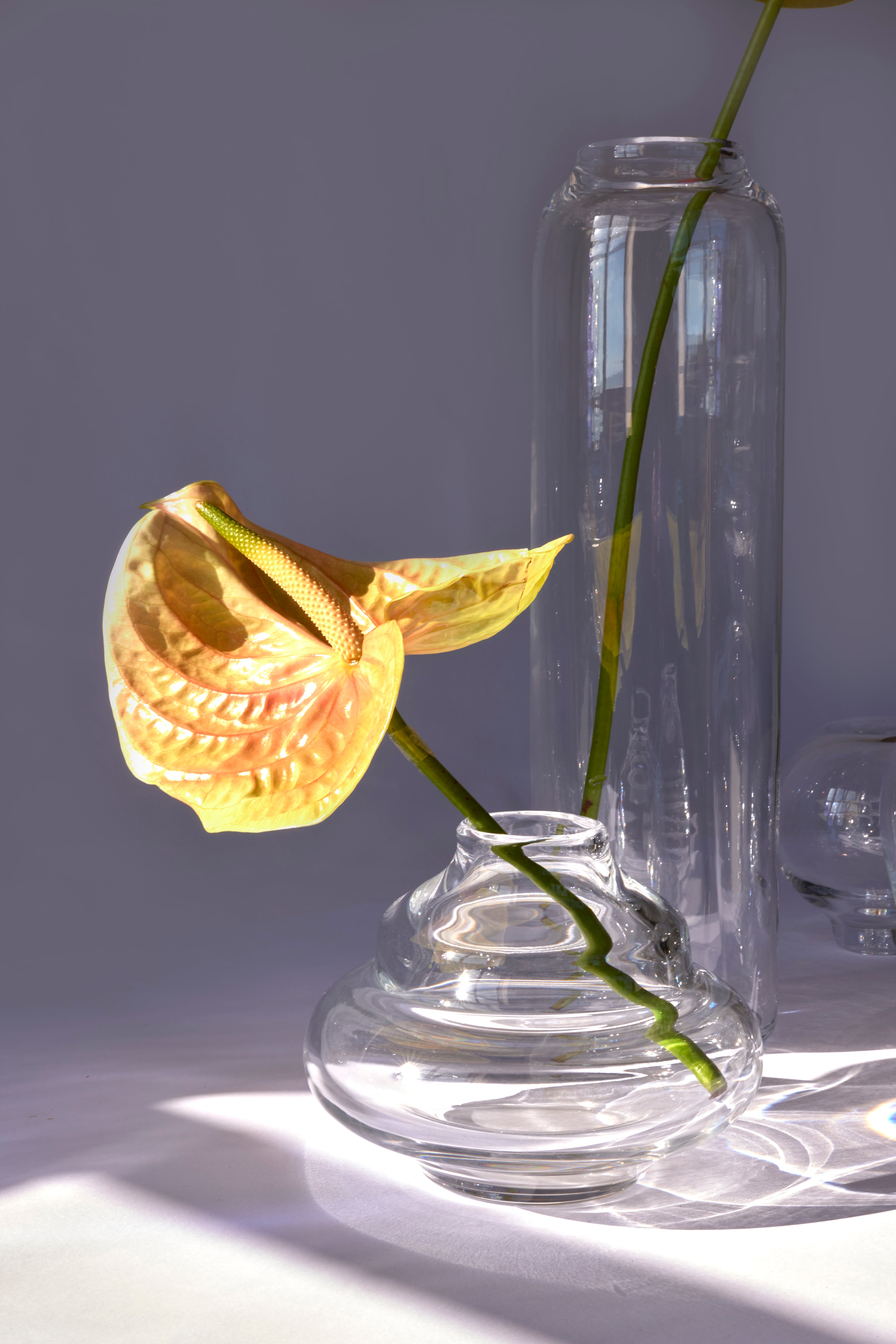 Bosa Crystal Vase — Clear