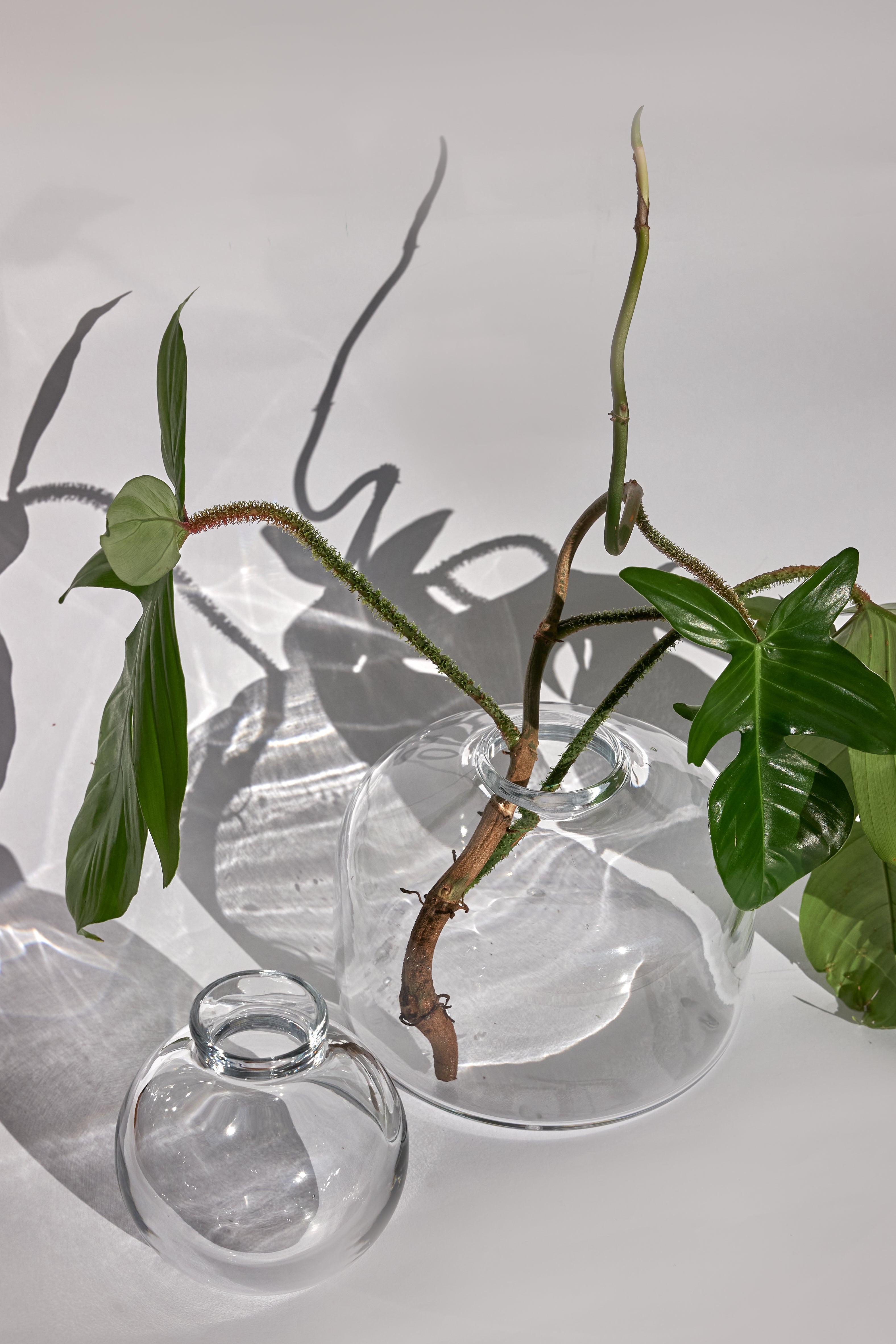 Cefalù Crystal Vase — Clear