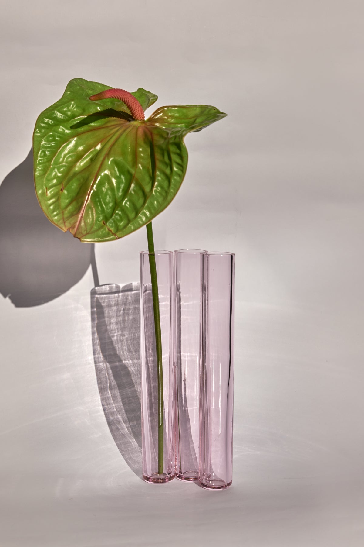 Corallo n°7 — Hand-Blown Crystal Tubular Vase