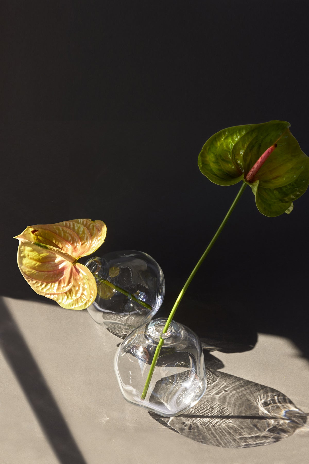 Nuvola — Hand-Blown Crystal Spherical Vase, Clear